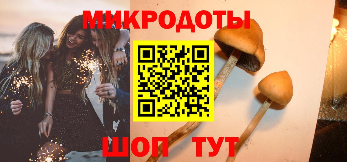 купить   Галлюциногенные грибы MAGIC MUSHROOMS  Вход с VPN  Краснодар 